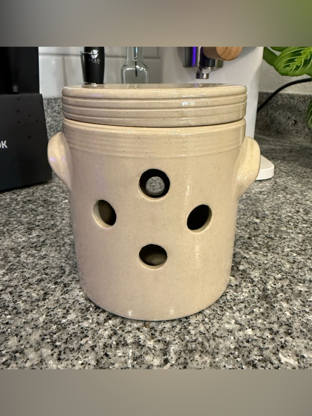 Vintage French Stoneware Onion Crock by P. Jault Berry – Lidded Garlic Storage